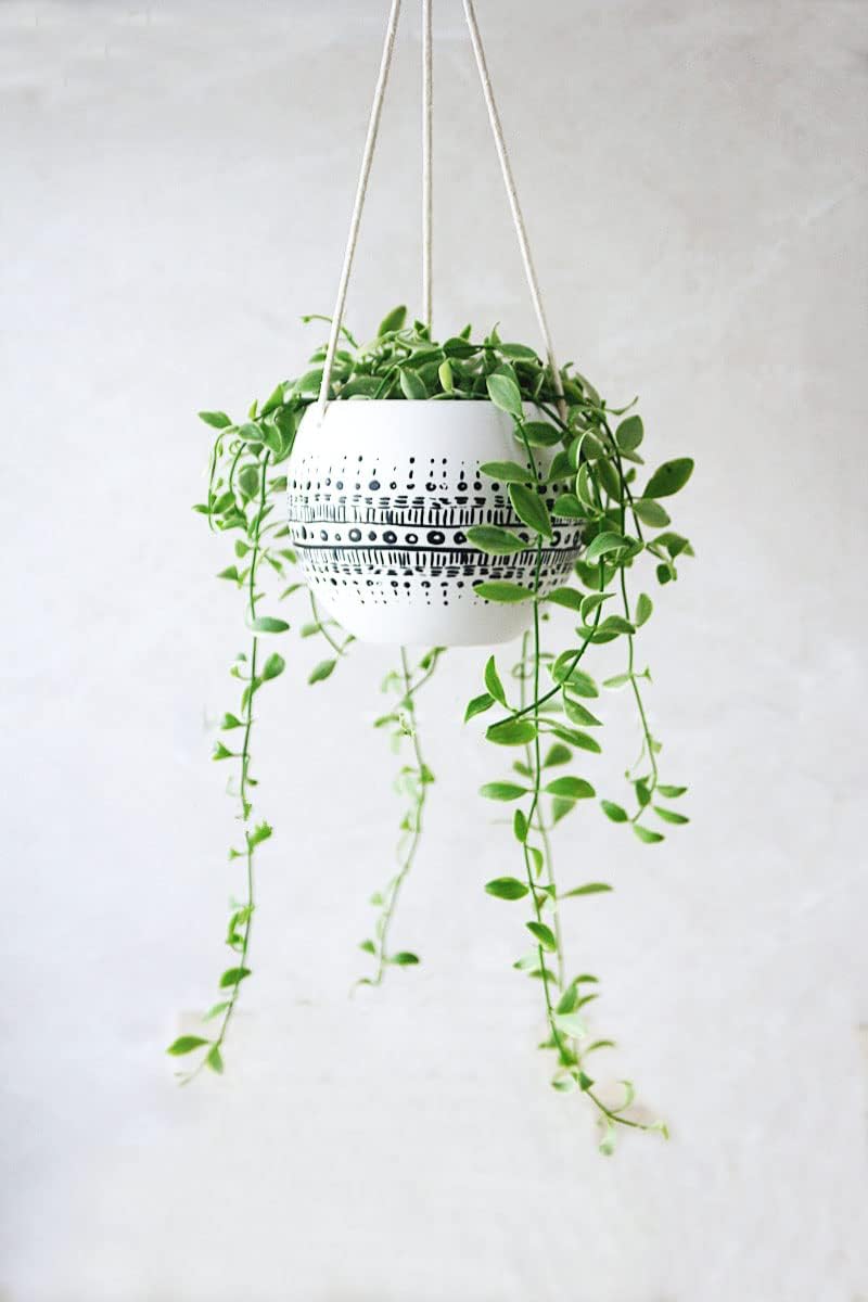 KiaoTime Ceramic Hanging Planter for Indoor Outdoor, Decorative Boho Flower Green Grass Plant Succulent Air Plants Hanging Plant Pots Holder - Image 2