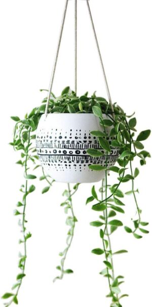 KiaoTime Ceramic Hanging Planter fo...