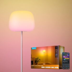 Govee Lantern Floor Lamp, Halo Grad...