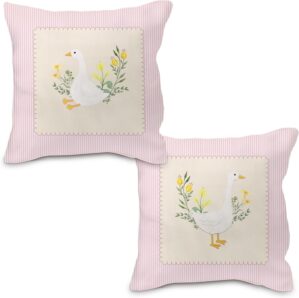 Goose Pillow Covers 18×18, Bab...