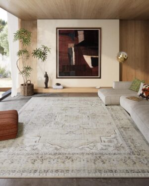 8×10 Area Rugs for Living Room...