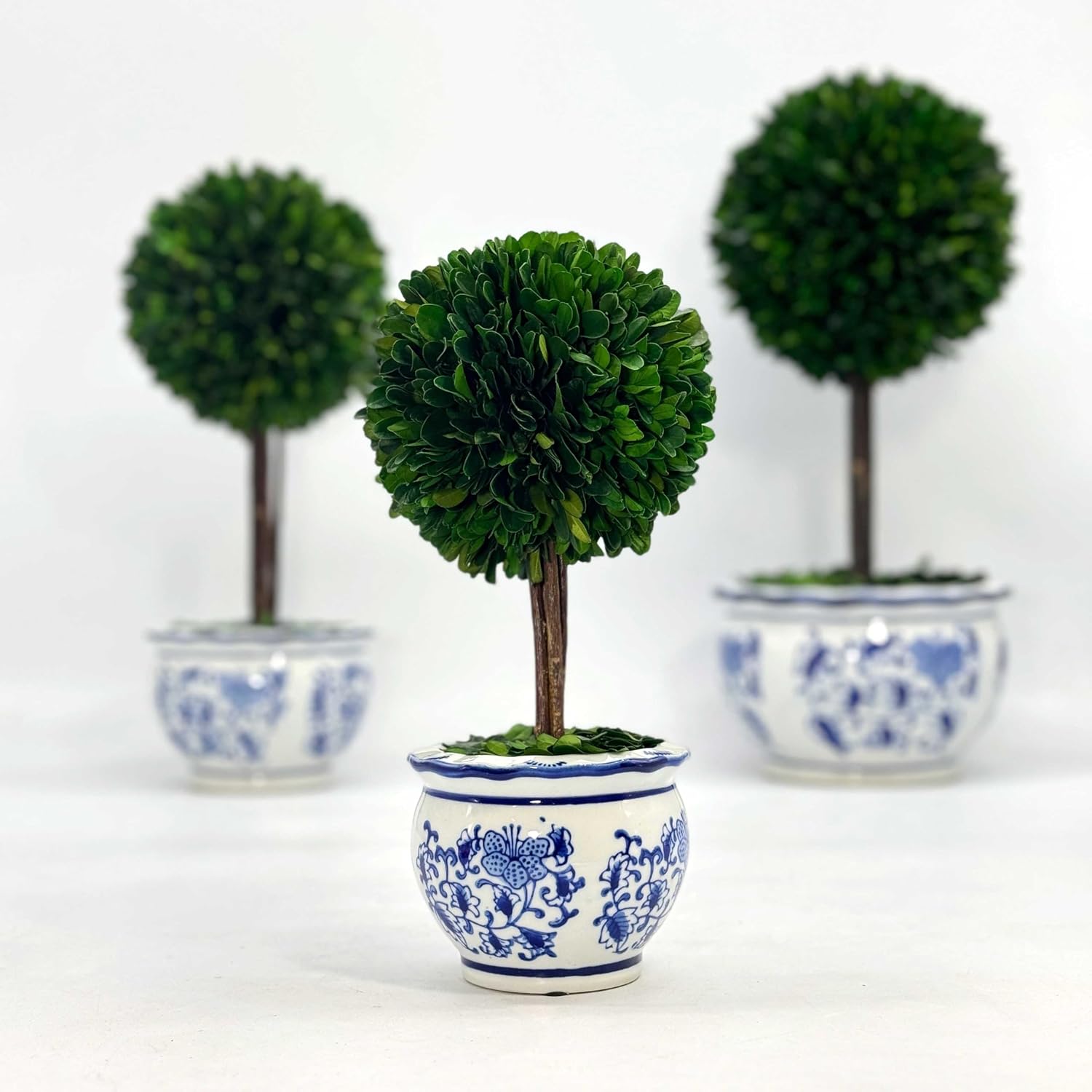 Galt International Naturally Preserved Boxwood Ball Topiary Tree in Round Hand Painted Blue & White Ceramic Pot Planter - European Rococo Home Decor Classic Chinoiserie Small 11" Tall Topiary - Image 6
