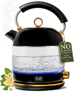 Glass Electric Kettle No Plastic, S...