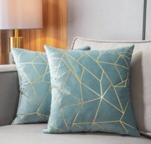YONGLIU Pack of 2 Velvet Cushion Ca...