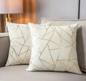 YONGLIU Pack of 2 Velvet Cushion Ca...