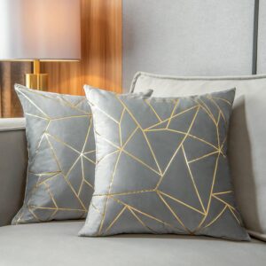YONGLIU Pack of 2 Velvet Cushion Ca...
