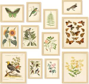 97 Decor FRAMED Vintage Botanical P...
