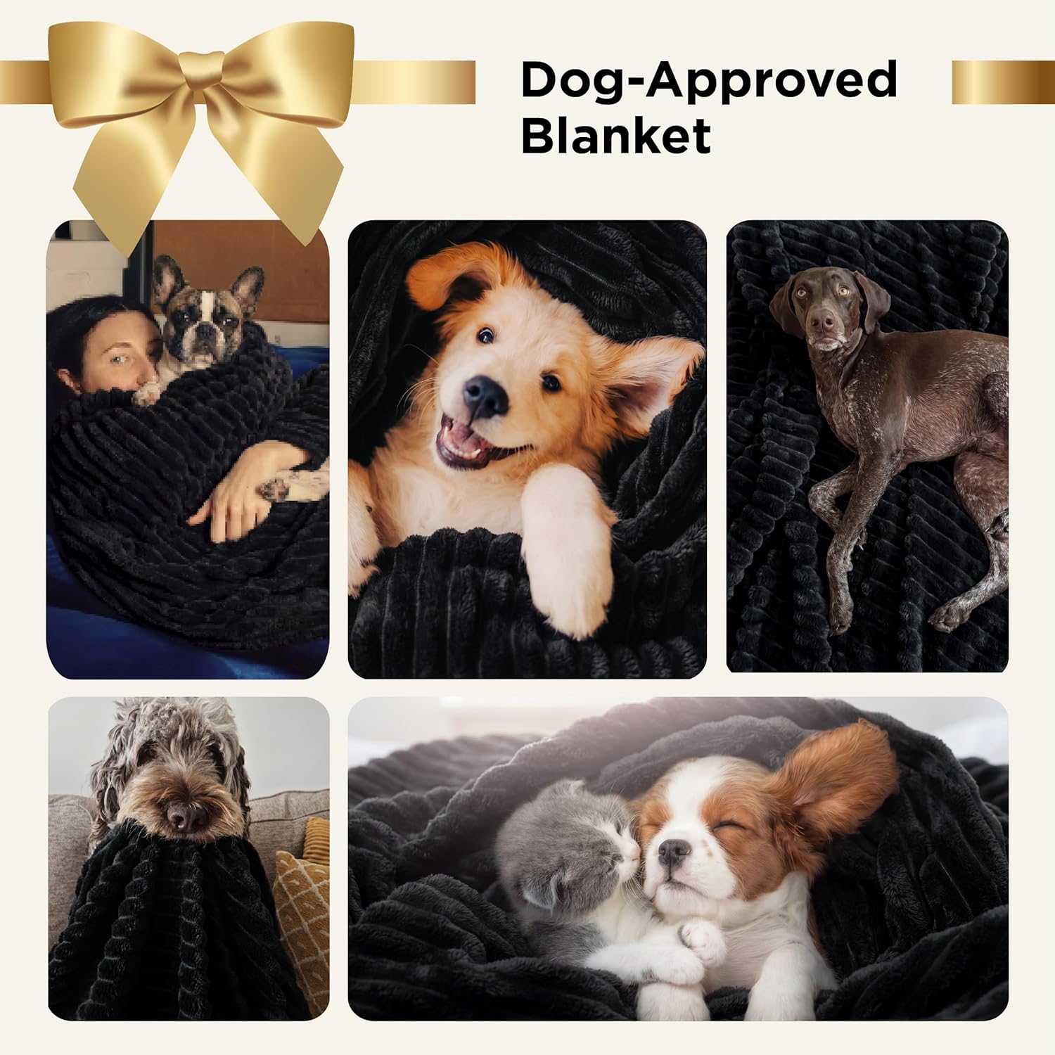 Bedsure GentleSoft King Size Blanket for Bed - Cozy Soft Blankets for Women, Cute Large Fleece Throws for Girls, Black, 108x90 Inches - Image 3