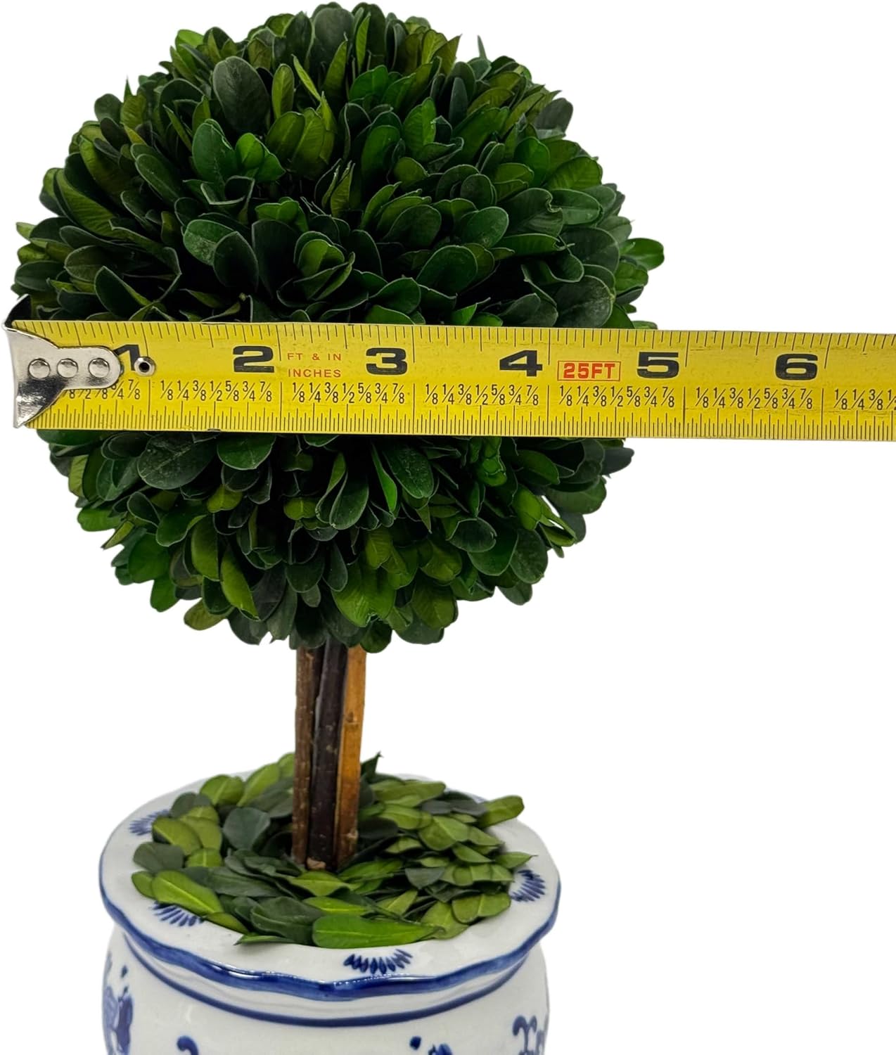 Galt International Naturally Preserved Boxwood Ball Topiary Tree in Round Hand Painted Blue & White Ceramic Pot Planter - European Rococo Home Decor Classic Chinoiserie Small 11" Tall Topiary - Image 4
