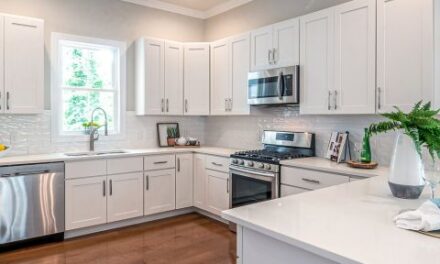 Nilufer Home Kitchen: Crafting a Culinary Haven with Style, Soul, and Functionality