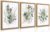 LLEEMPI Sage Green Wall Art Set of 3, Modern Watercolor Botanical Wall Decor, Eucalyptus Leaf Canvas Painting, Classic Minimalist Florals Poster Print for Bedroom Bathroom Office 12×16 Inch Framed Included (Total Size)