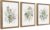 WRFON Framed Sage Green Botanical Wall Art Set of 3, Watercolor Eucalyptus & Wild Plant Canvas Prints, Minimalist Green Wall Decor for Living Room Bedroom Bathroom, 12×16 Inches