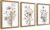 WRFON Framed Botanical Canvas Wall Art Set of 3, Watercolor Floral Prints, Framed Flower Wall Decor for Bedroom Bathroom Living Room, 12×16 Inch Each