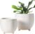 LE TAUCI Ceramic Plant Pots, 5.1 + 6.4 Inch Footed Pots for Plants, Modern Flower Pots for Home and Office, Indoor Planters with Drainage, Reactive Glaze White