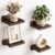 Fixwal Small Shelf for Wall, 5X5 Inches Floating Shelves Set of 4, Rustic Wood Small Wall Mounted Shelves for Bedroom, Living Room, Kitchen, Bathroom Decor (Dark Carbonized Black)