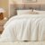 BEDELITE Fleece Queen Comforter Set -Super Soft & Warm Fluffy Cream White Bedding, Luxury Fuzzy Heavy Bed Set for All Season with 2 Pillow Cases