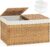 SETVSON Storage Basket with Lid Rattan Woven Storage Baskets with 2 Separate Lids, 17.2 Gallon (65 L), 22 x 13 x 13.8 Inches,Foldable, 2 Removable Liner Bags Handles for Bedroom, Laundry Room Natural