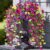 Artificial Hanging Petunias Flowers for Outdoor, 8pcs Fake Plants Long Vine Morning Glory Eucalyptus, UV Resistant Realistic Faux Greenery Outside Patio Porch Garden Spring Summer Decor, Mix Color