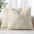 decorUhome Fall Throw Pillow Covers 18×18 Inch Set of 2, Soft Plush Faux Wool Beige Solid Couch Pillow Covers, Accent Farmhouse Neutral Square Pillow Cases for Sofa Bed Living Room